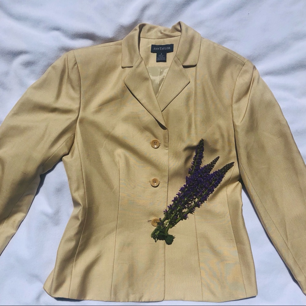 Gorgeous Ann Taylor Silk Blazer